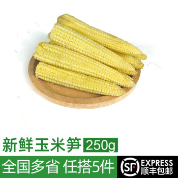 绿食者 玉米笋250g 去皮迷你嫩甜小玉米芯中号 新鲜沙拉蔬菜煲汤食材