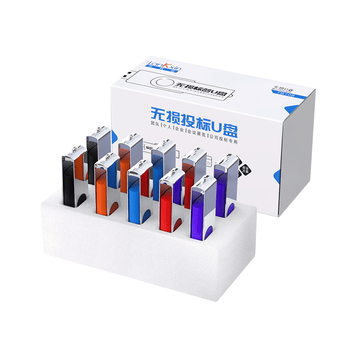 兰科芯（LanKxin）512MB USB2.0 U盘 TB108专业投标U盘 公司企业 招标小容量标签无损电脑优盘10个/盒