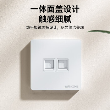 山泽 网线网口网络面板 通用超五/六/七类模块加厚86型面板 适用电脑房间网络插座 二位 WAN-02