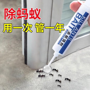 郁康蚂蚁药全窝一窝室内端杀虫剂非无毒家庭用杀蚁胶饵灭蚁饵剂10g