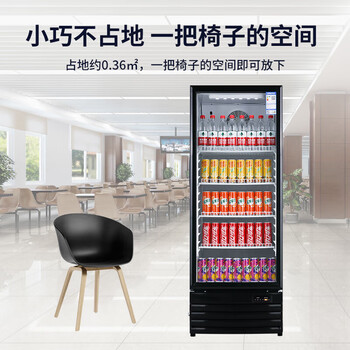 澳柯玛316升立式单门商用冷藏冰箱展示柜 超市饮料啤酒保鲜冷柜 冷饮茶叶陈列冰柜 SC-316NE