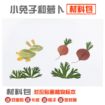 树叶画手工diy材料真树叶拼贴画植物标本材料包幼儿园