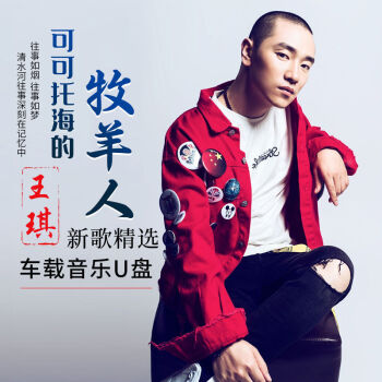 王琪专辑车载音乐u盘可可托海的牧羊人车载无损wav歌曲mp3优盘