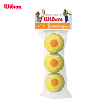 Wilson威尔胜青少年儿童训练网球低压缩网球耐磨Starter WRT137300