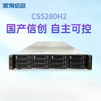 浪潮（inspur）CS5280H2 定制2U机架服务器/国产自主可控 2*海光C86-7360 256G丨2*960G+5*2.4T/麒麟系统 三年