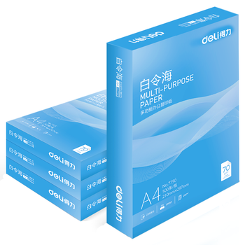 得力（deli）白令海A4打印纸 70g500张*4包一箱 双面高性价比复印纸 整箱2000张7773【经济热销】