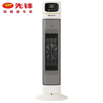 先锋 取暖器 家用电暖器电暖气暖风机 办公室桌面电暖风烤火炉暖脚器电热扇热风机 DNF-YY2R