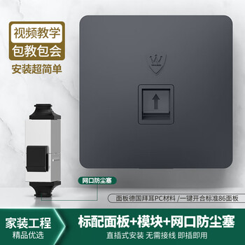 万级网络面板直通式 超五类百兆网线插座面板盒 86型网口电脑水晶头屏蔽直插模块单口 灰1-14625 万级网络面板直通式 超五类百兆网线插座面板盒 86型网口电脑水晶头屏蔽直插模块单口 灰1-14625