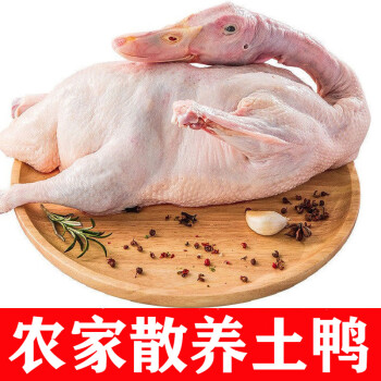 农家散养土鸭子整只麻鸭鸭肉现杀老鸭子鸭腿生鲜塔布莫特鸭子一只装