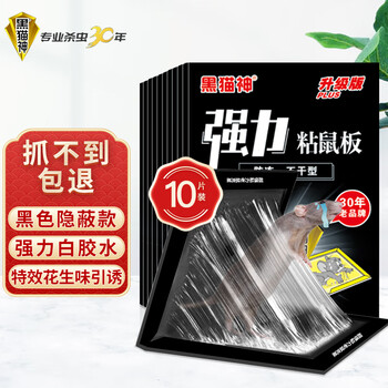 黑猫神 粘鼠板10片装 老鼠贴老鼠药老鼠板驱鼠捕鼠神器老鼠夹胶耗子药