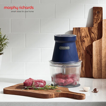 摩飞（Morphyrichards）绞肉机家用绞馅机 碎肉机电动多功能辅食料理机打蒜搅拌佐料机 MR9402A蓝色