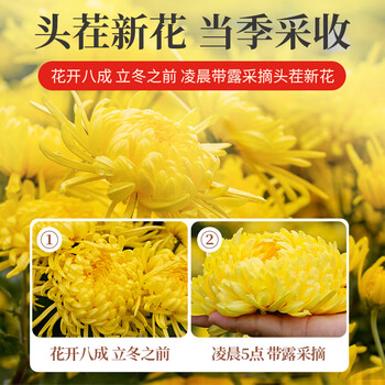 同仁堂（TRT）菊花茶金丝皇菊特级大菊花胎菊养生茶泡水喝的花草茶叶42包22g/盒