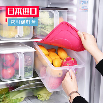 
                                                            日本进口保鲜盒冰箱冷冻收纳盒无毒塑料冷冻盒大容量储物盒 小号米桶 6.3L红色  单个装                