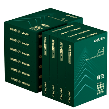 得力（deli）辉铂A4打印纸 80g500张*10包一箱 双面加厚 顺滑打印复印纸 整箱5000张 7799【品质升级】