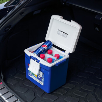 爱丽思（IRIS）CL-7车载保温冷藏箱 户外家用多功能冷暖箱  蓝色7升（含冰袋）