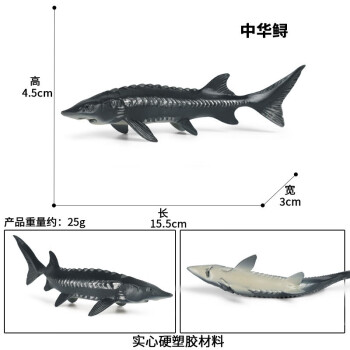 Oenux玩具鱼认物儿童假鱼仿真海洋淡水鱼模型动物三文食人金枪咸鱼水母 M-1528中华鲟