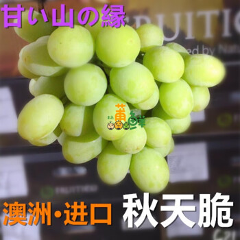 澳洲秋天酥甜地球无籽青提4斤装葡萄新鲜水果提子青葡萄f