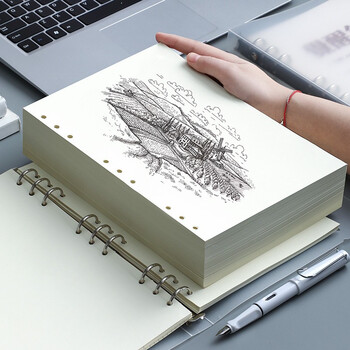 法拉蒙（faramon）B5活页替芯笔记本子9孔横线替换内芯加厚活页纸 B5空白内芯（5本装）