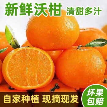 沃柑新鲜大果广西武鸣精品澳柑桔袄柑橘子精选大果8斤
