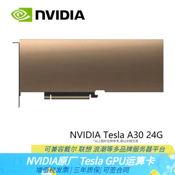 英伟达（NVIDIA）Tesla系列GPU服务器工作站主机显卡高性能运算卡 Tesla A30-24G（可预定）