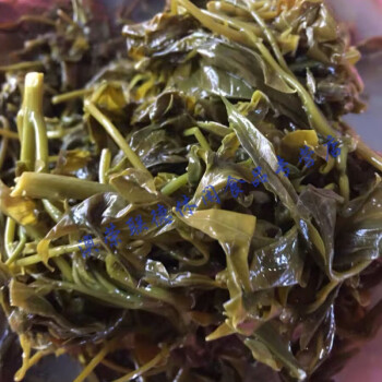 橙伯乐帕棍菜帕贡菜新鲜腌制云南德宏野菜酸爽傣味酸菜一年一季原味