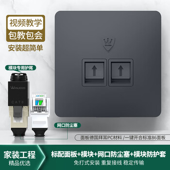 万级 网络面板八类 8类万兆免打网线插座 二位双口86型面板电脑电话网络墙壁插孔 1-148035灰 万级 网络面板八类 8类万兆免打网线插座 二位双口86型面板电脑电话网络墙壁插孔 1-148035灰
