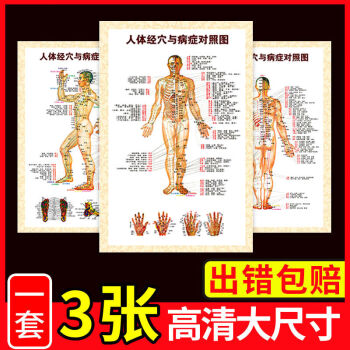经络穴位针炙对照高清海报超大挂图p人体穴位与病症对照图三张一套