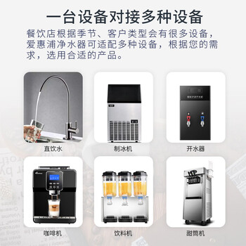 爱惠浦（Everpure）Insurice PF Single I20002净水器 无桶大流量-额定净水量1500L 矿物质水净水机