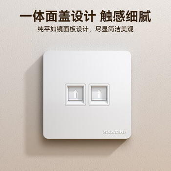 山泽网线网口网络面板 通用超五/六/七类模块加厚86型阻燃面板 适用电脑房间网络插座 二位 ZWB-02
