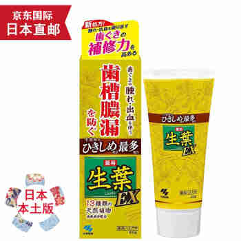 第一三共【日本发货】一三共牙膏 小林制药生叶牙膏 齿槽脓漏 牙周病 口臭 小林制药﻿生叶牙膏EX升级版100g