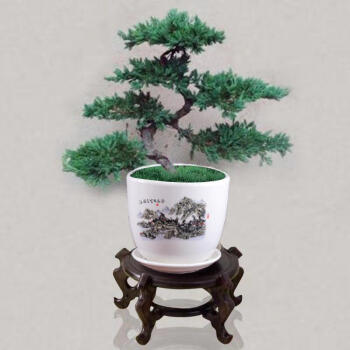 迎客松盆景真树苗室内外植物松柏造型小叶罗汉松造型盆栽客厅庭院景观