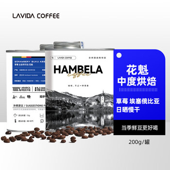 LAVIDA埃塞俄比亚花魁咖啡豆罐装手冲单品中度烘焙200g