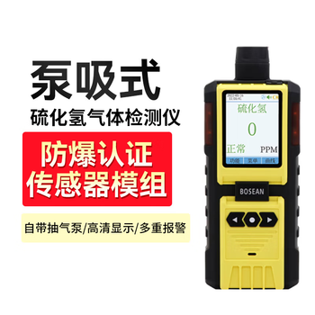 保时安 泵吸式气体检测仪有毒有害气体检测仪 硫化氢气体检测仪定制