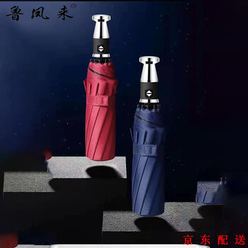 鲁凤来. 雨伞 全自动开合双人加大一键开收黑胶防晒10骨商务伞 (藏青色)