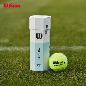 Wilson威尔胜全场地用球美网澳网专业训练网球 3粒装（球面数字随机）