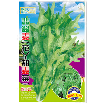 四季花芽甜麦菜种子苦麦菜苦麻菜青菜籽耐热耐寒大田盆栽蔬菜种孑翡翠