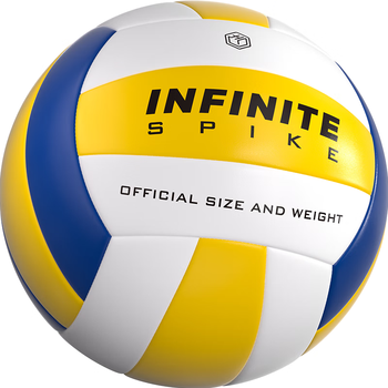 京东京造 排球中考专用初中生训练标准5号球