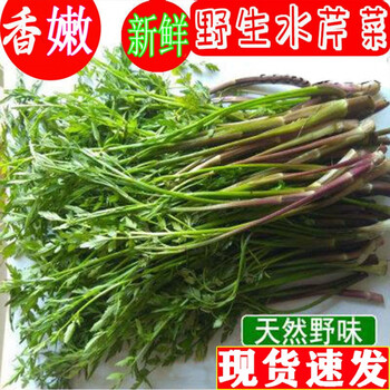 关注店铺联系客服璟瑞名海休闲食品专营店东北特产 水芹菜小叶健康