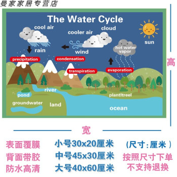 图海报英语启蒙教具教室装饰贴纸英文墙贴单词贴图布置w43512水循环小