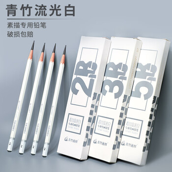 青竹画材（CHINJOO）流光白素描速写专业炭笔铅笔美术生专用绘画14B素描绘画绘图12支装HB美术写生画画笔