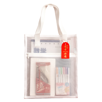 晨光(M&G)文具学生补习袋 金刚网纱考试透明手提袋文件袋补课包学习作业袋 考公考研国考开学文具