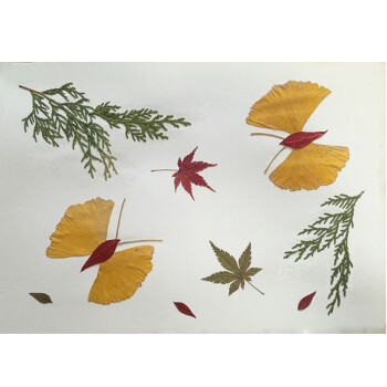 树叶手工贴画成品小学生幼儿园儿童diy材料包真创意秋天植物标本 a4
