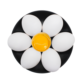 【产地直采】鲜知味河南濮阳鲜鸡蛋 单枚约40-50g 白壳白玉鸡蛋 40枚