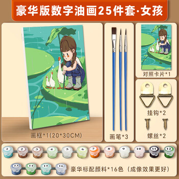 苏拉达(Surada)数字油画 数字油画diy儿童手工初学美术绘画套装中国风景画创意油彩画 20*30cm女孩TX004