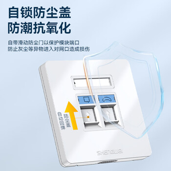 胜为 网线插座网络面板 双位86型兼容超五类/六/七类网口/电话信息模块 (双口面板不含模块)CSIP302H 胜为 网线插座网络面板 双位86型兼容超五类/六/七类网口/电话信息模块 (双口面板不含模块)CSIP302H