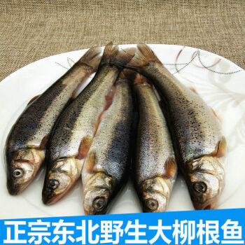 三斤大柳根鱼【图片 价格 品牌 报价-京东