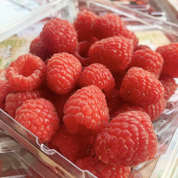 新鲜树莓2盒装红树莓覆盆子水果树莓果稀有热带水果树莓鲜果