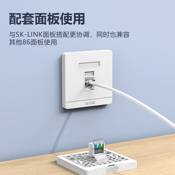 SK-LINK 电话语音模块 CAT3电话线免打面板模块 RJ11固话座机通信电话口插座4芯三类连接头 SK-MK-RJ11D SK-LINK 电话语音模块 CAT3电话线免打面板模块 RJ11固话座机通信电话口插座4芯三类连接头 SK-MK-RJ11D