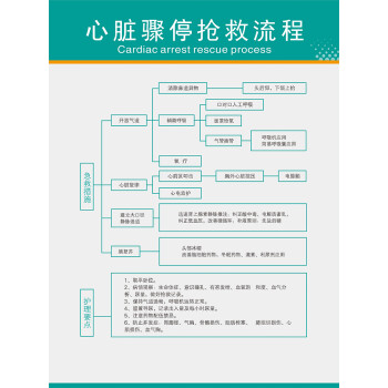 医院急救步骤心脏骤停休克抢救流程图海报挂图药物过敏抢救流程图