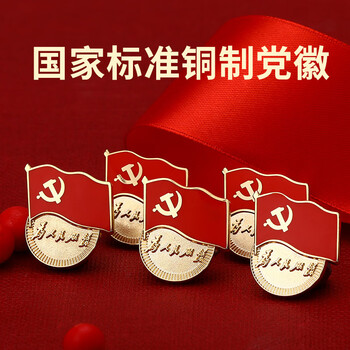 嘉然恒 铜制党徽5枚装蝴蝶扣款 国家标准款党员徽章胸章